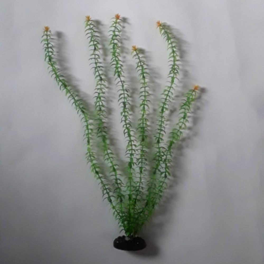 Aquarium Plant (about 16in)